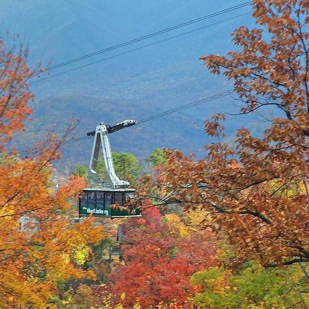 Cajun Hideaway Holiday Home Gatlinburg Exteriör bild